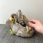 ｴﾅｼﾗｯｼﾀｹと2種のきのこ流木アレンジ