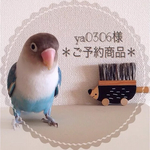 ＊  ya0306様専用＊＊＊ご予約商品＊