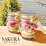 本物の桜❀SAKURA ~double cherry blossoms~【こちらは4月26日からの発送でございます