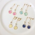 color　shell　ピアス／イヤリング
