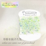 カードヤーン【草原を抜けた先】c10