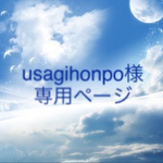 usagihonpo様専用