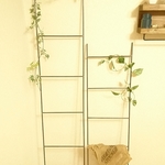 【アイアン ラダー✨135cm】135cm×35cm