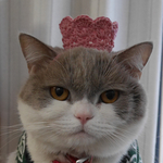 👸 ティアラ