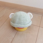 pooh-ta様専用ページ　シンプルくま耳帽子（ガーゼ裏地つき）　48㎝　グリーン