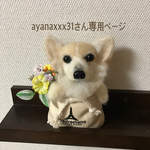 ポット犬オーダー