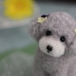 羊毛フェルト　お座りポーズ　春色のシルバートイプーちゃん 