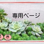 CoCoon Made様専用ページ　