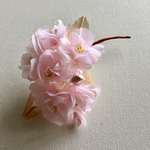 【春限定】桜のコサージュ