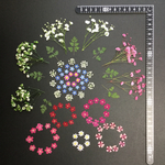 押し花  特別オーダー品 NO.550