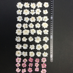 押し花 特別オーダー品 NO.551