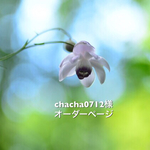 chacha0712様オーダーページ