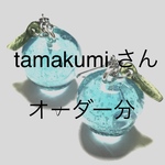 tamakumiさんオーダー【りんごピアス】