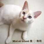 Moi et tricot 様 ♡ 専用