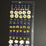 押し花  特別オーダー品 NO.552
