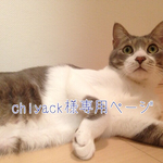 chiyack様専用ページ