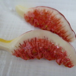 スライス無花果  ブローチ