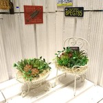 【送料込】☆フェイク多肉のテーブル&チェアセット☆