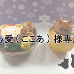 心愛(ここあ)様専用ページ