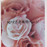  黒の2wayバッグ L ☆sg12さま専用ページ☆