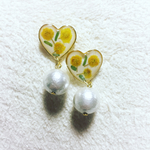 本物ミモザのハートピアス♥