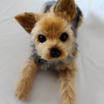 S様オーダー犬ジョン君