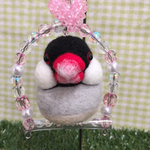 キラキラブランコ桜文鳥ちゃん