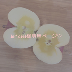 le*ciel様専用ページ