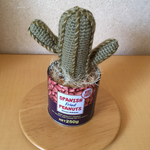 サボテン親分