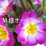 M 様オーダー品