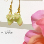 多肉の新芽ちゃんピアス♪