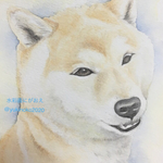 inujii14様 専用商品