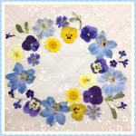 押し花＊ミックス⑦