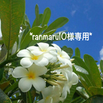 ranmaru10様専用ページ