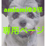 amiami03様専用ページ