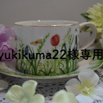 ★yukikuma22様専用★