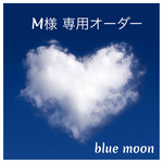 Ｍ様 専用カート