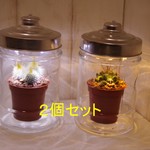 ガラスジャーランプ　２個セット  電池内蔵式　