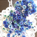 mix⑥