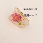 kuma1023様専用ページです。