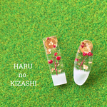 HARUノキザシ