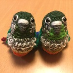 momoka99さま♡専用注文ページ:お胸が可愛い♡ウロコインコちゃん（中型インコ）
