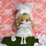 ﾌﾟﾁﾌﾞﾗｲｽ･お洋服ｾｯﾄ 7