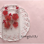 ♥mfs21様オーダー♥ 押し花ケース