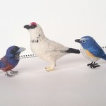 【kaiさまご注文品】野鳥セット 