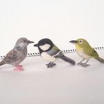 【himarinさまご注文品】野鳥セット 