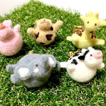 空を飛びたい！！まぁるい動物達