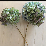 紫陽花ドライフラワー枝付き