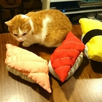 猫の寿司けりけり！ジャンボサイズ☆
