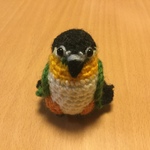 モモヒキ可愛い♡ズグロシロハラインコちゃん（中型インコ）